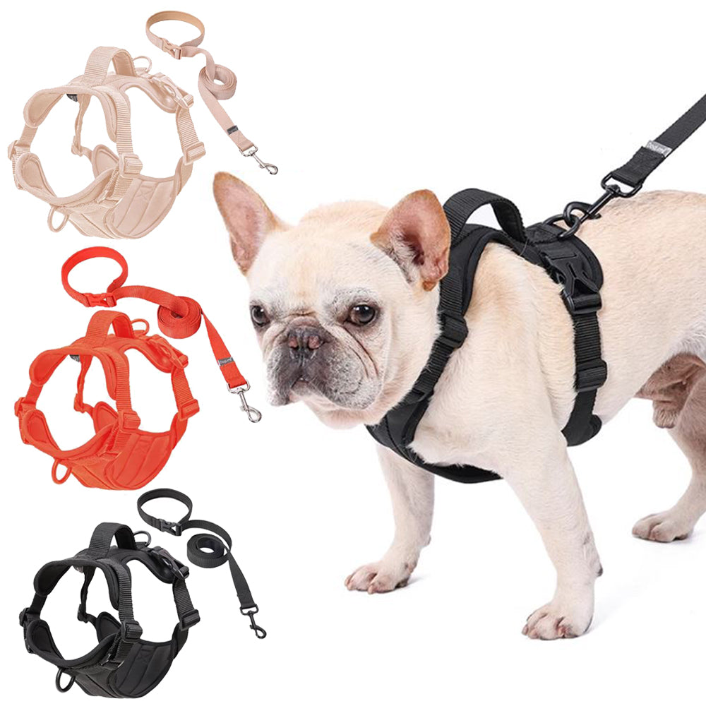 French Bulldogs Harness