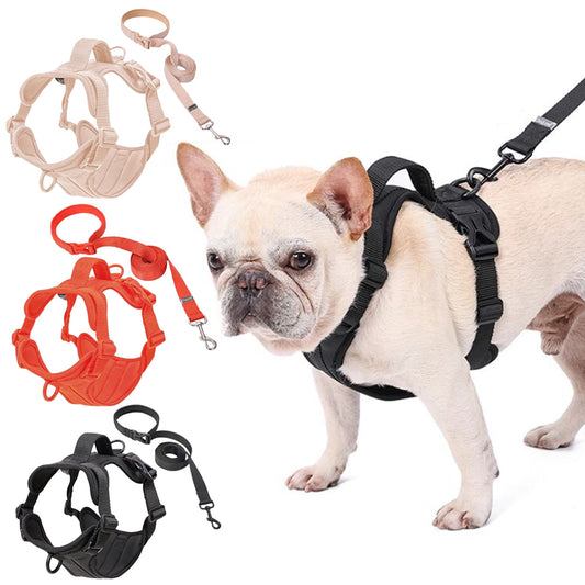 French Bulldogs Harness