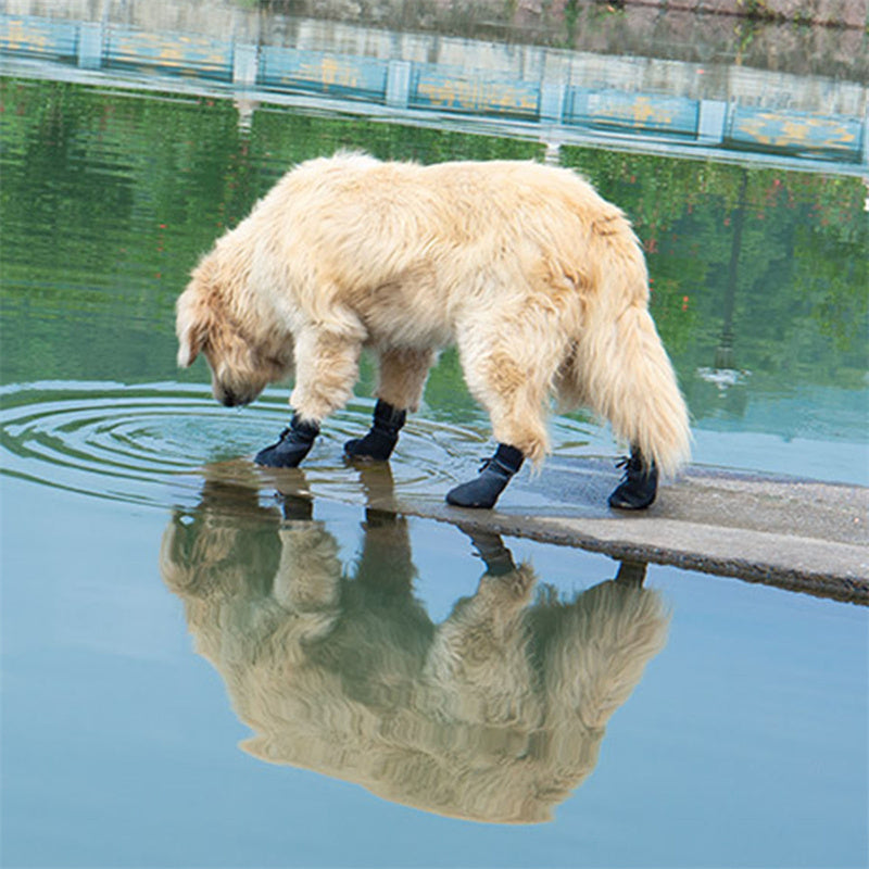 French bulldog non-slip shoes