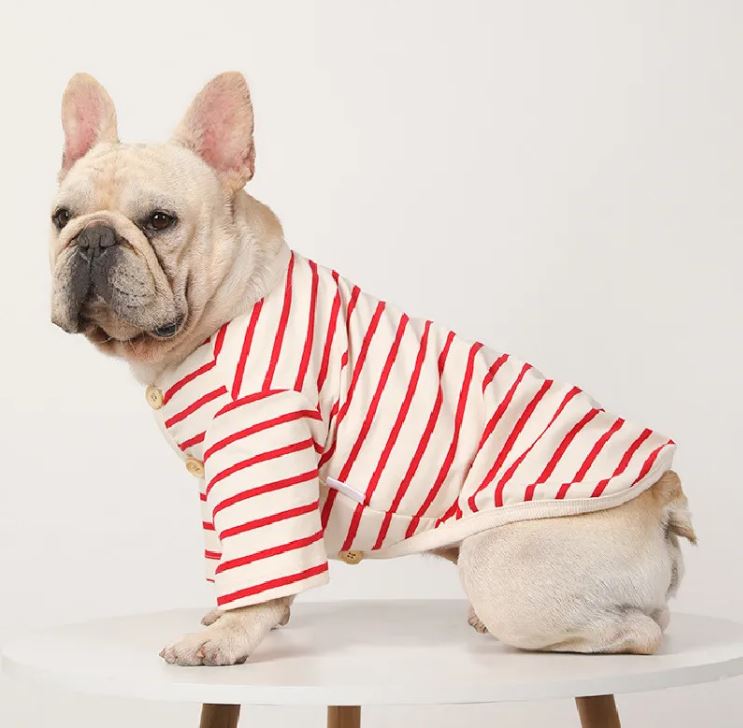 French bulldog roxy Winter Shirt