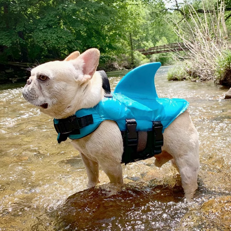 Shark Life Vest For Dogs French Bulldog Life Jacket Dog Shark