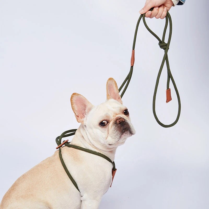 Frenchie-Collar-Leashes-All-in-one-Harnesses-Walking-Rope-www.frenchie.shop
