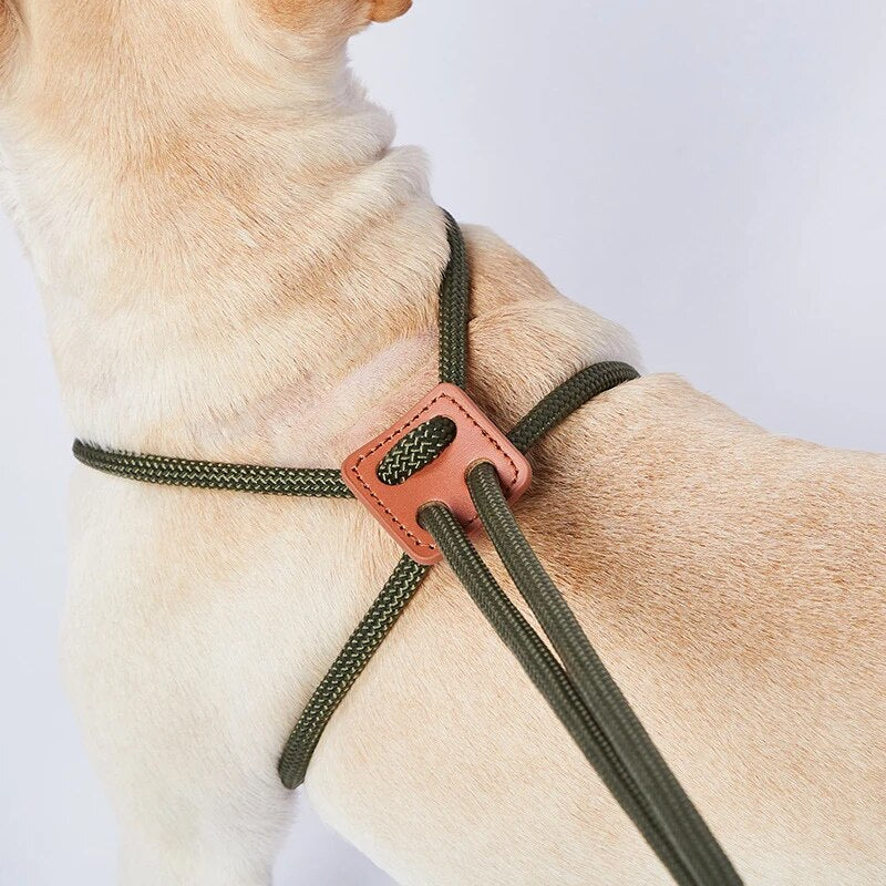 Frenchie-Collar-Leashes-All-in-one-Harnesses-Walking-Rope-www.frenchie.shop
