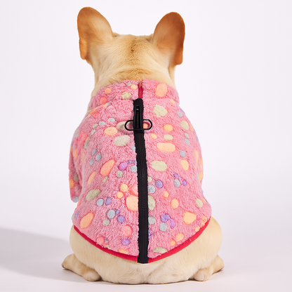 Frenchie-Winter-Sweater