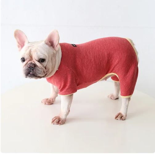 PoochPuff-Warm-&-Stylish-Frenchie-Winter-Sweater-Soft-Jumpsuit-www.frenchie.shop