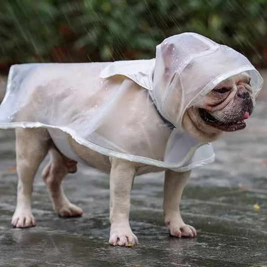 Frenchie-raincoat-www.frenchie.shop