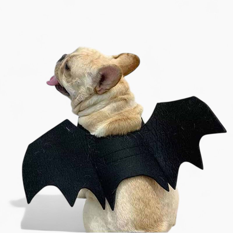 Frenchie Bat Wing Costume