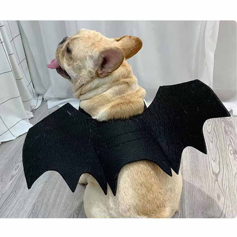 Frenchie Bat Wings Costume