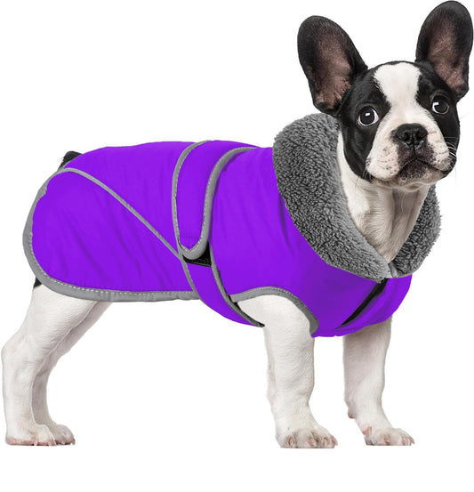 Frenchie-Bulldog-Cotton-Jacket-Thick-Warm-High-Neck-Pet-Vest.jpg