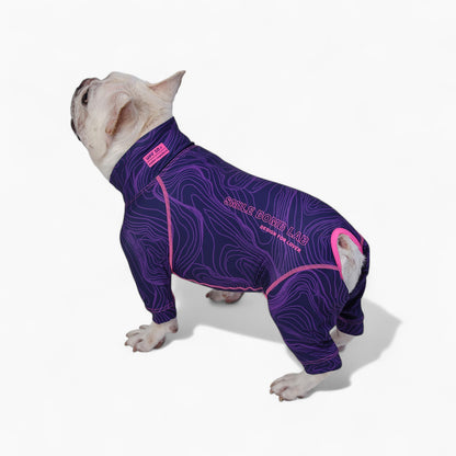 Frenchie-Calming-Pajama.jpg