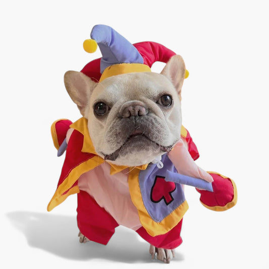 Frenchie Clown Costume