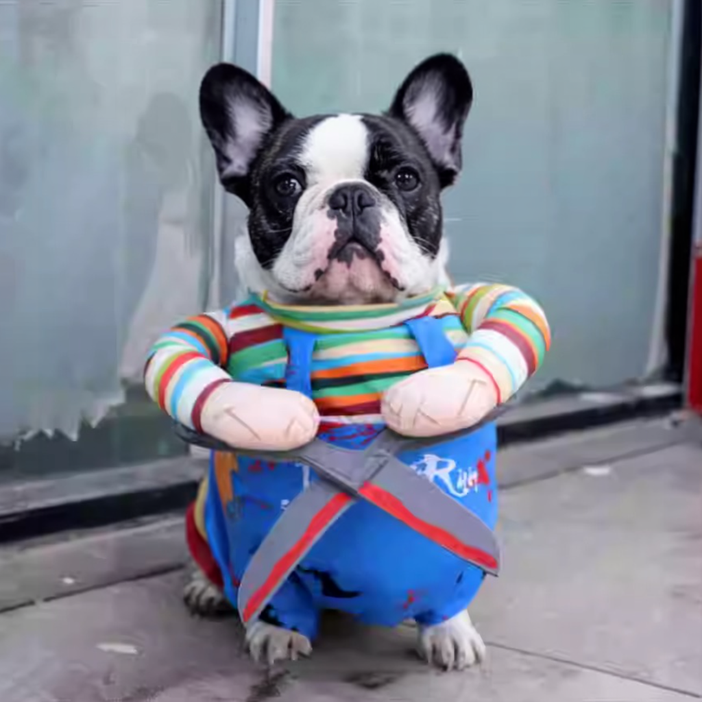 Frenchie Costume with Scissors