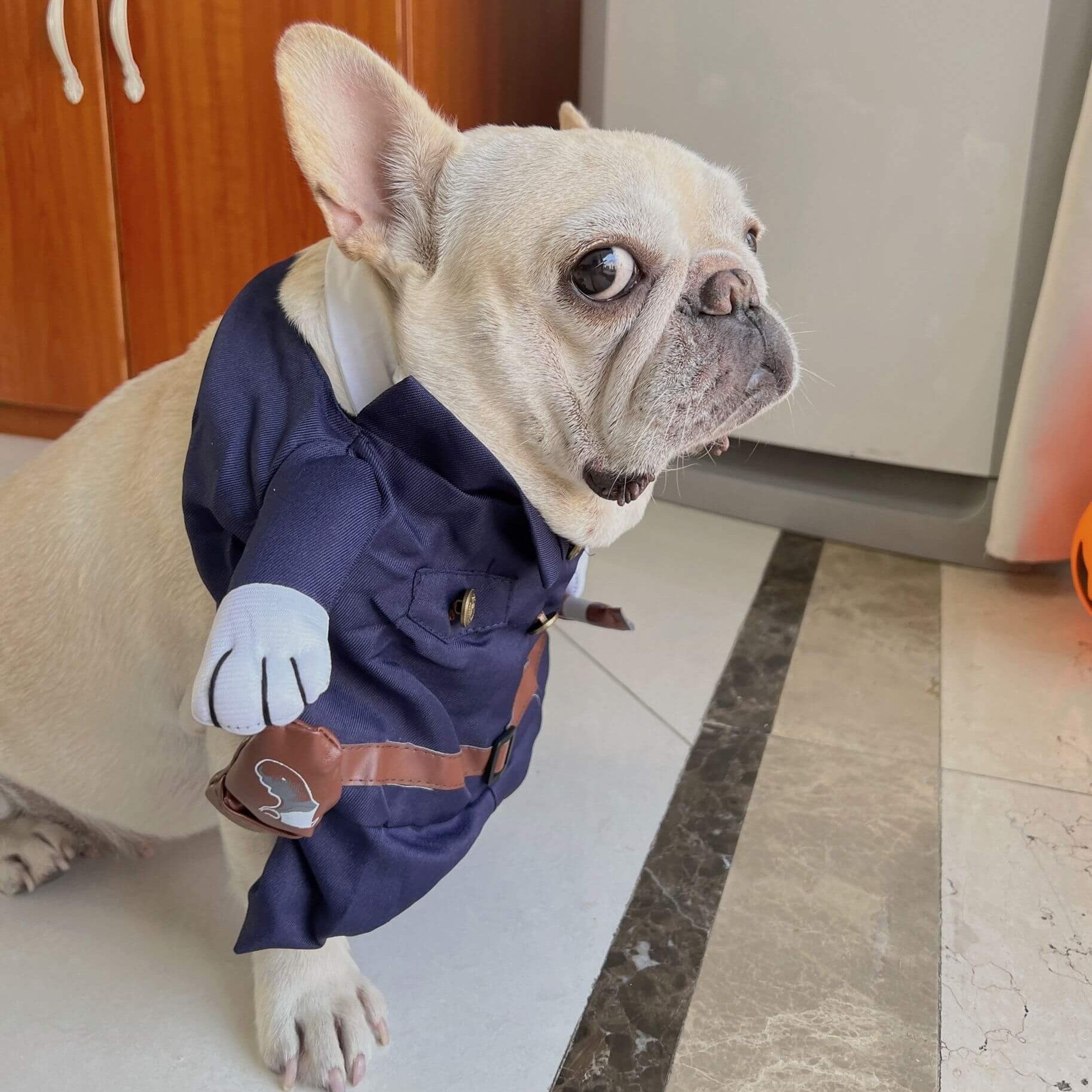 Frenchie_Dagger_Police_Costume