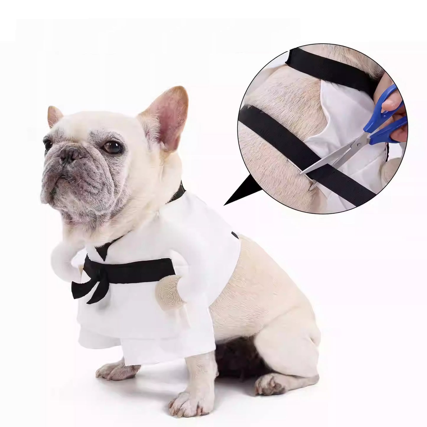 Frenchie Halloween Martial Arts Costume