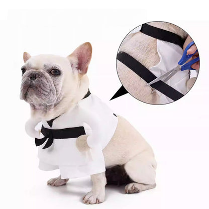 Frenchie Halloween Martial Arts Costume