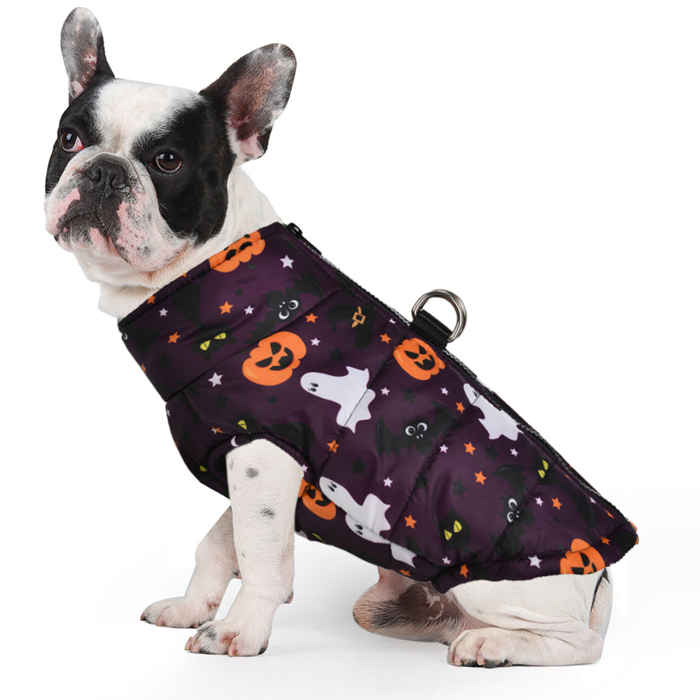 Frenchie Halloween Winter Jacket