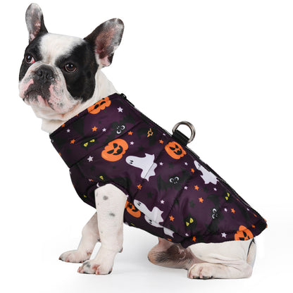 Frenchie Halloween Winter Jacket