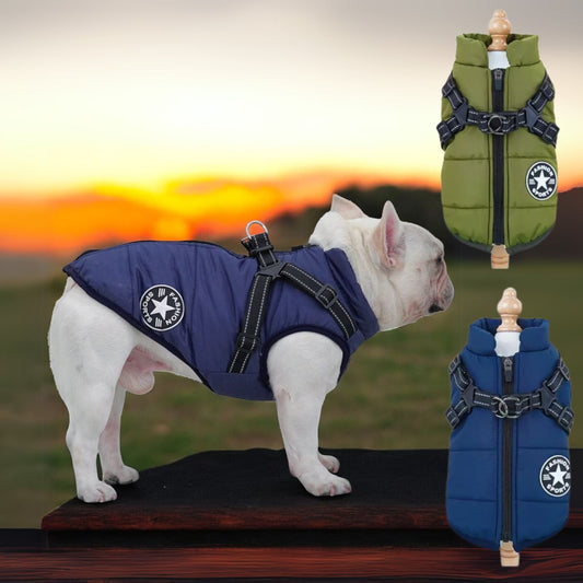 Frenchie Harness Jacket