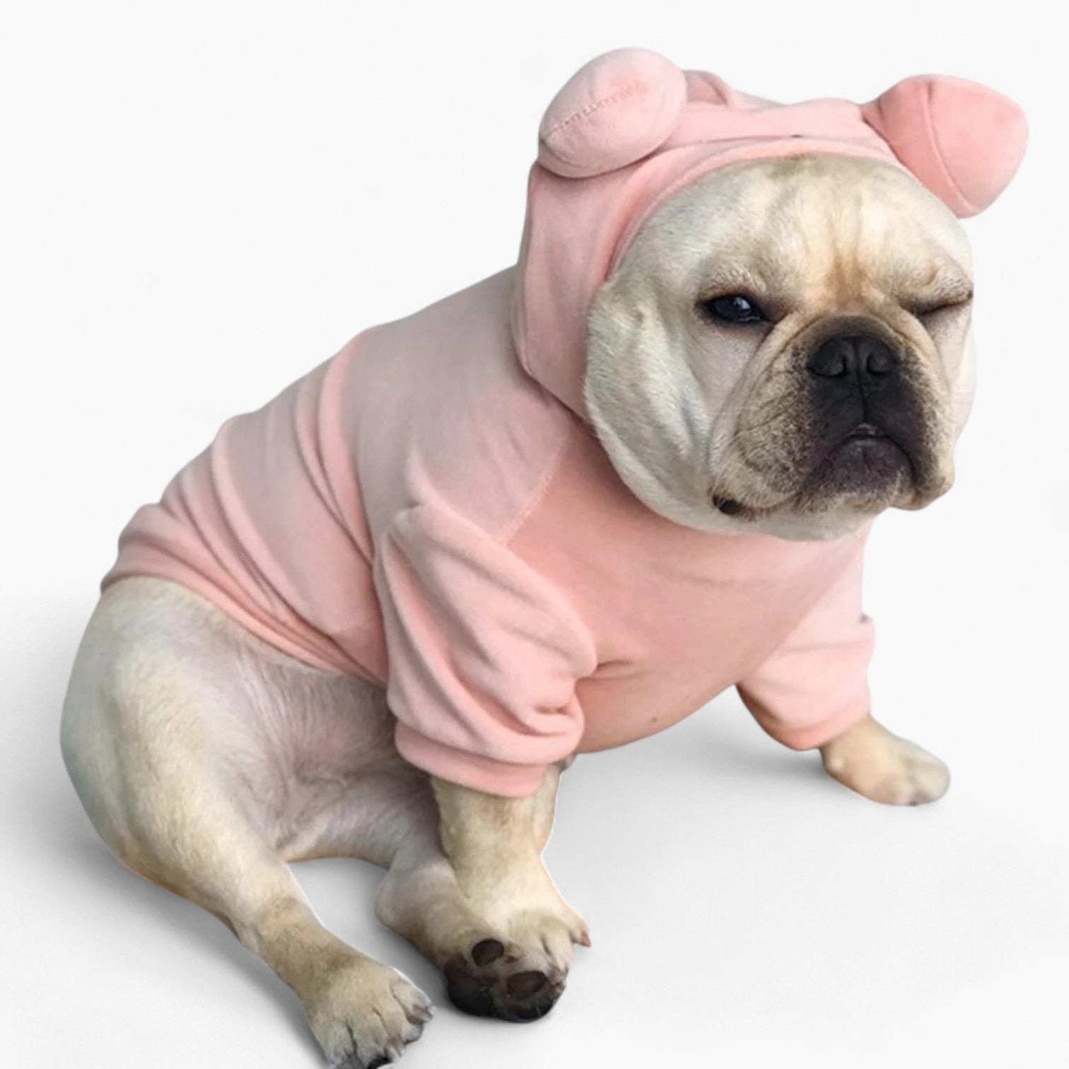 Frenchie Piggy Hoodie Costume