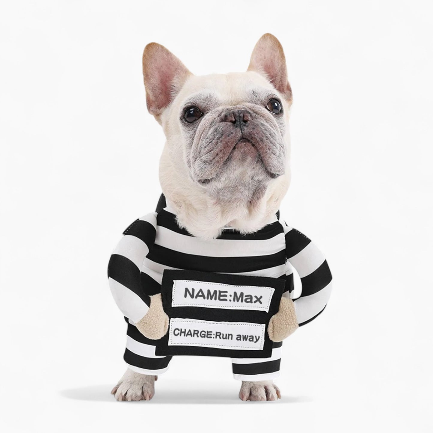 Frenchie-Prisoner-Costume