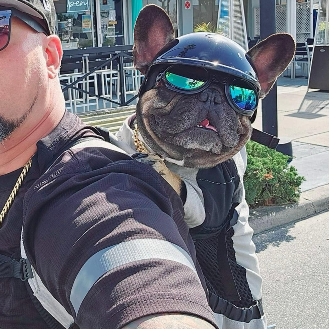 Ultimate Frenchie Protection Helmet