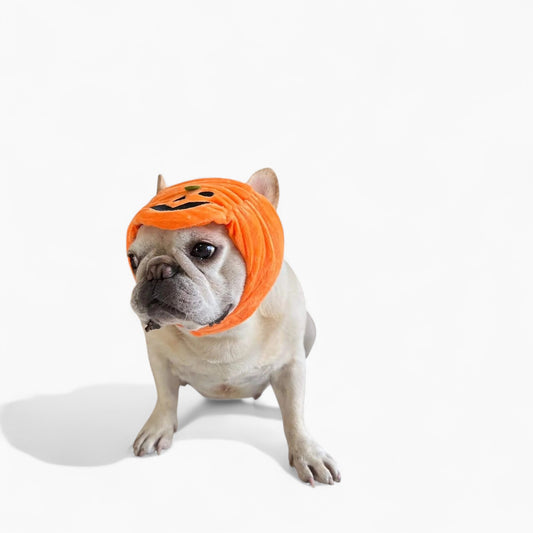 Frenchie Pumpkin Costume hat