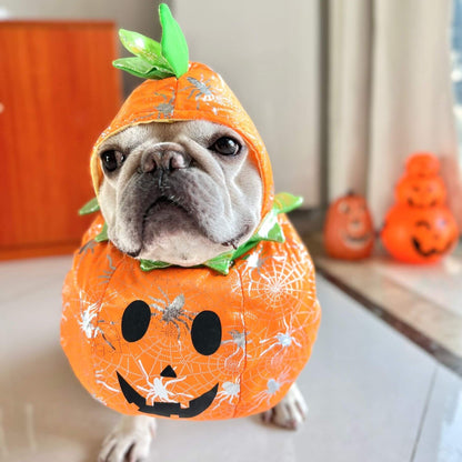 Frenchie Pumpkin Costume with Hat 
