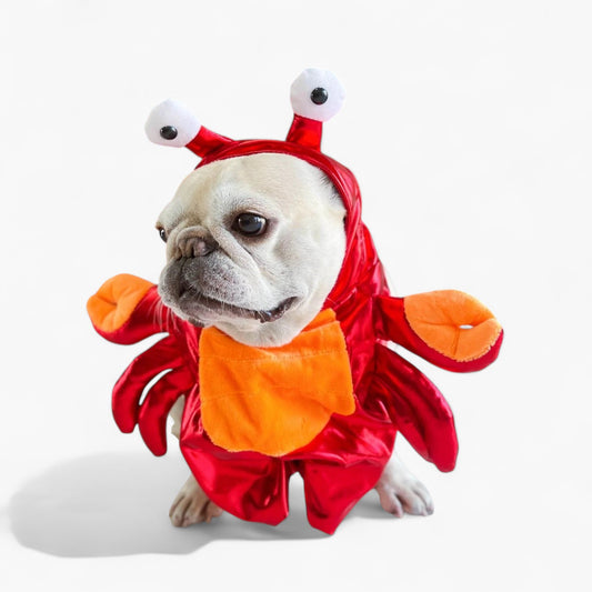 Frenchie Red Crab Costume