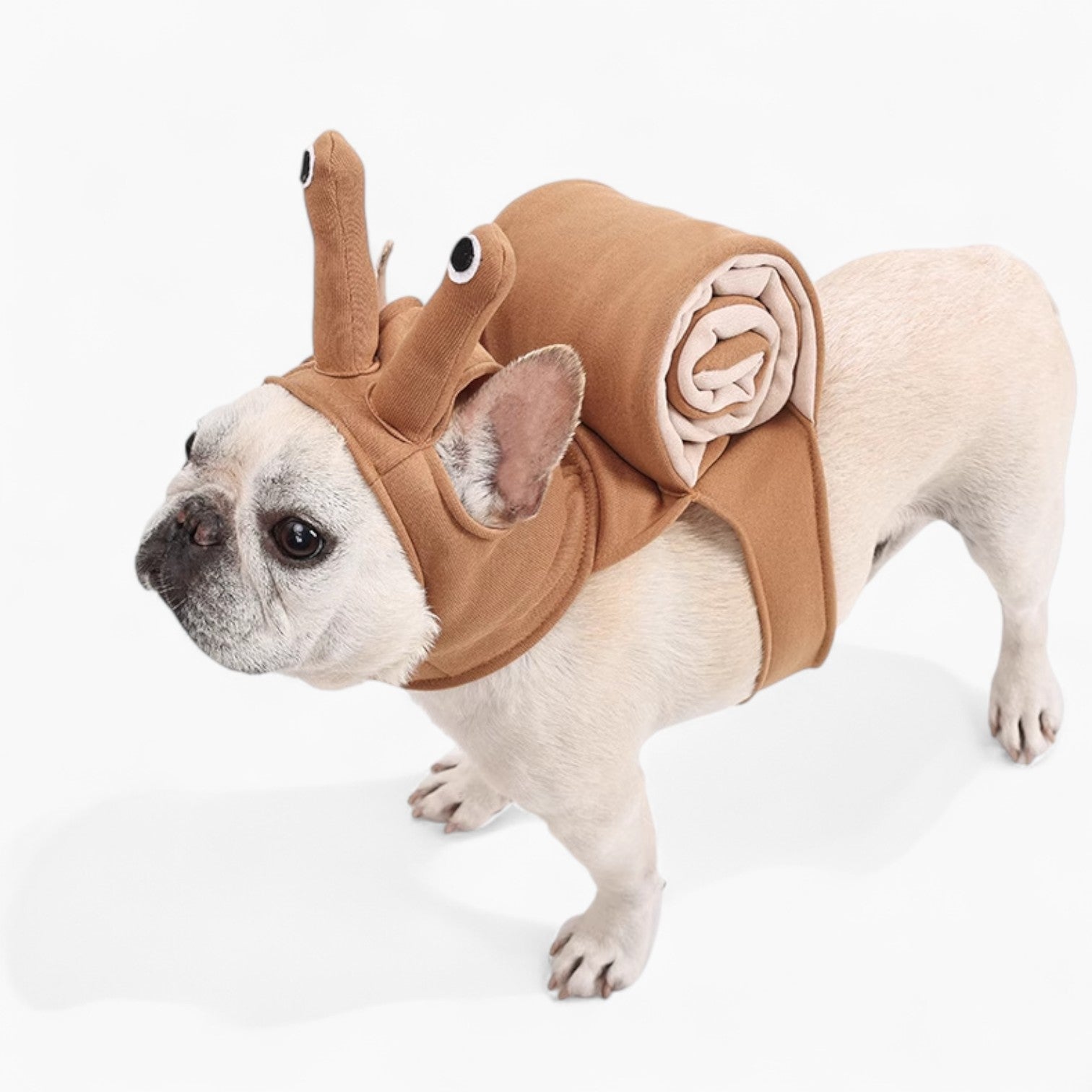 Frenchie Snail Costume