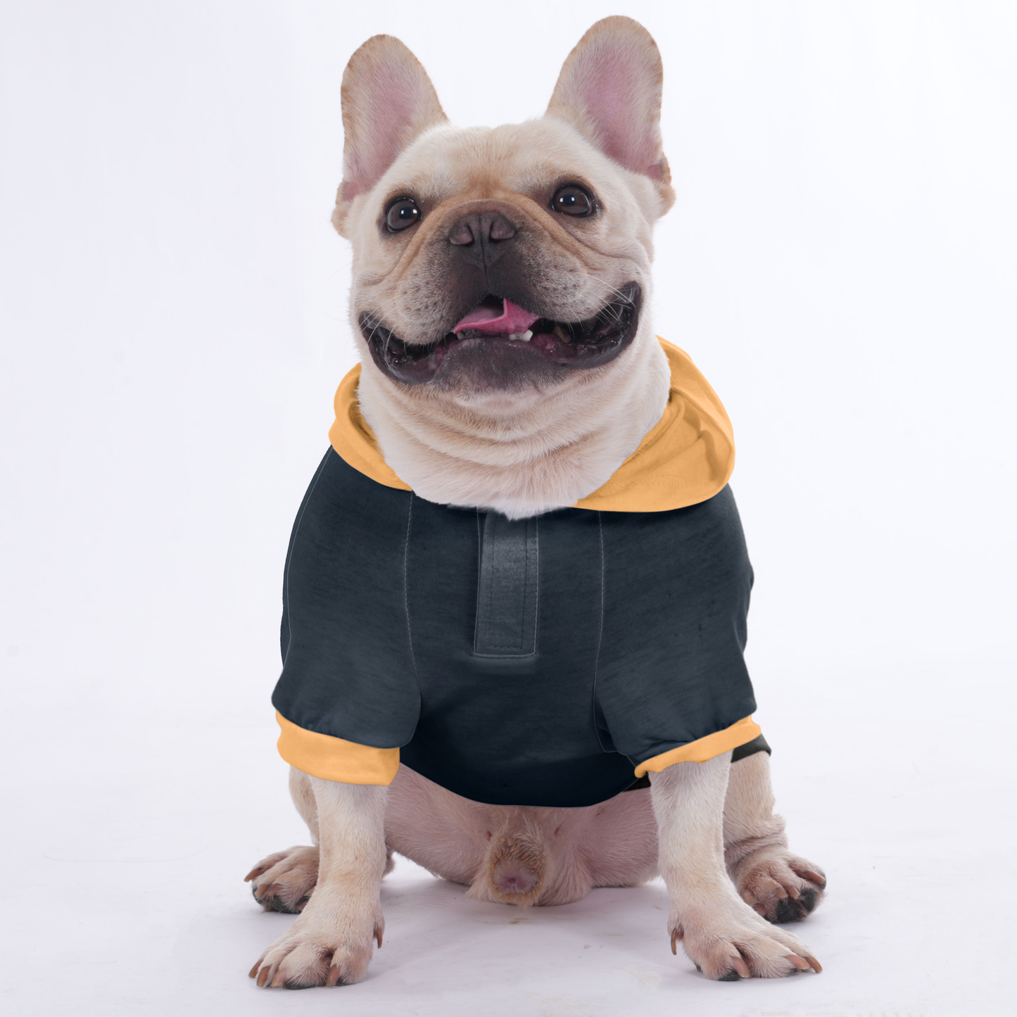 "Frenchie town" print Hoodies for French Bulldog 
