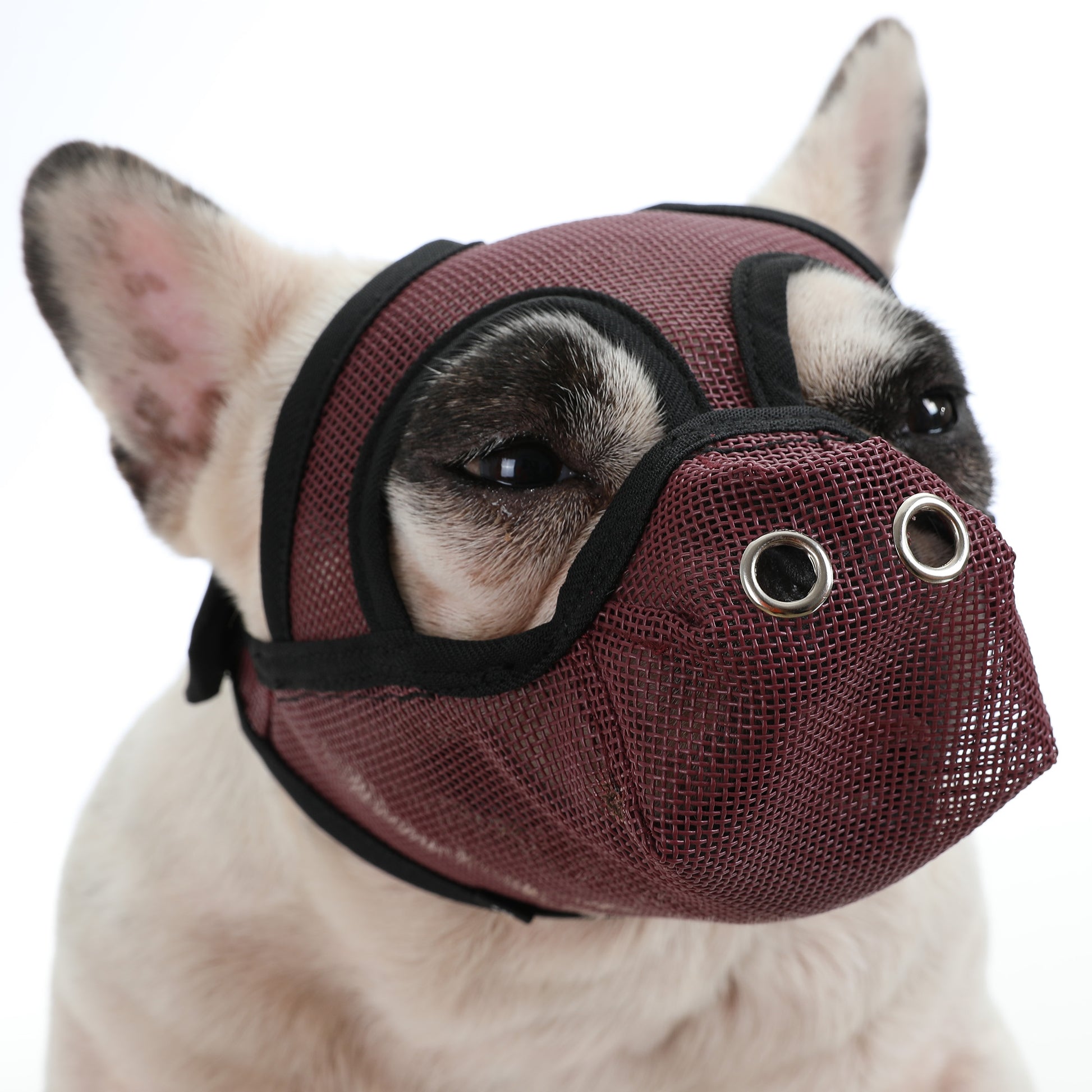 Premium-Adjustable-Frenchie-Muzzle - Mouth-Cover-for-Enhanced-Safety-www.frenchie.shop