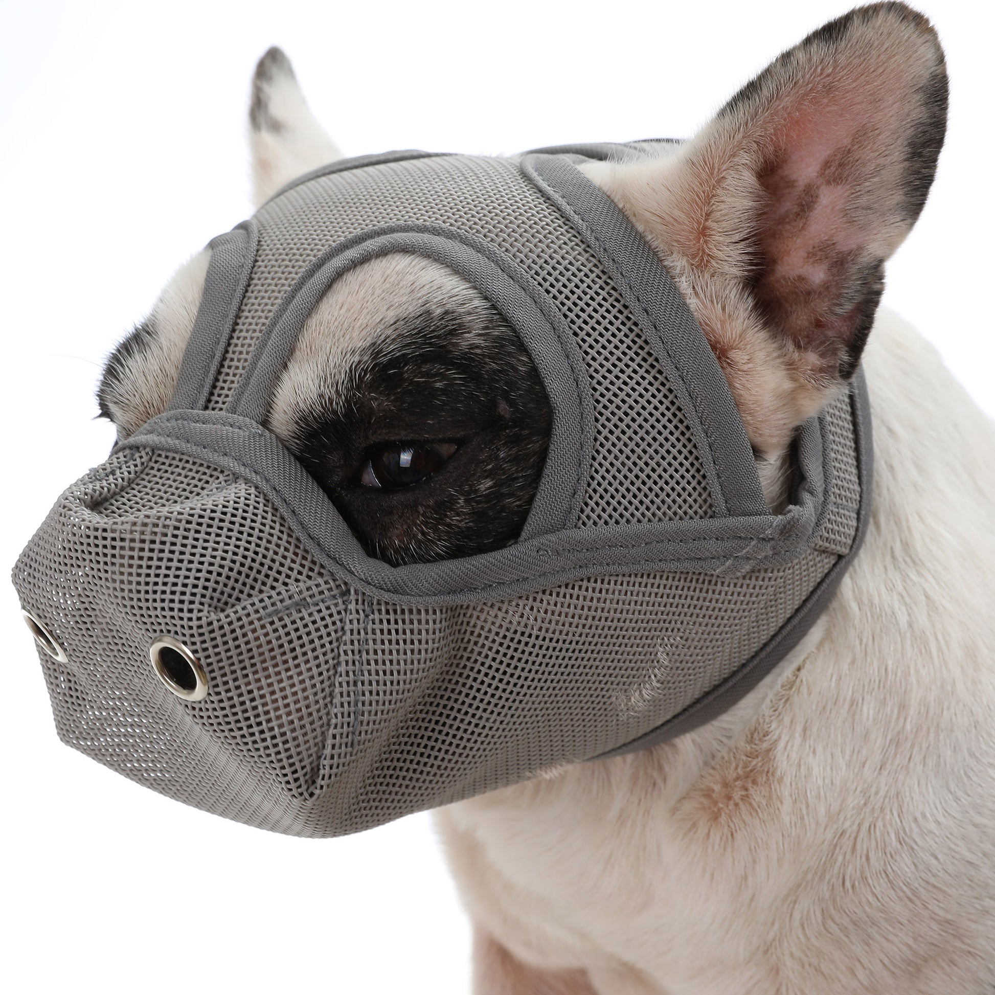 Adjustable Dog Mouth Guard Pet Dog Muzzles French Bulldog
