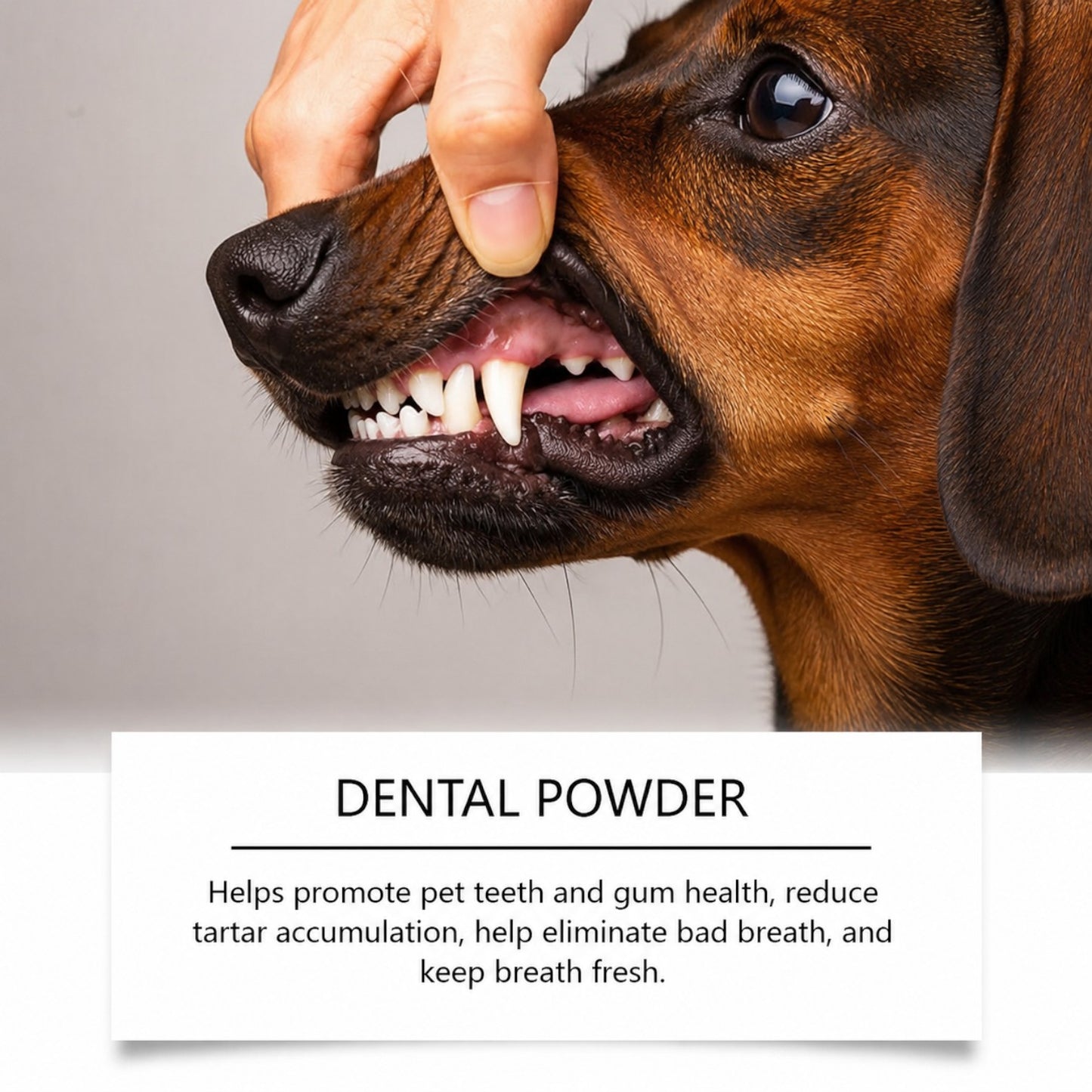 Freshie-Frenchie-Dental-Powder.jpg