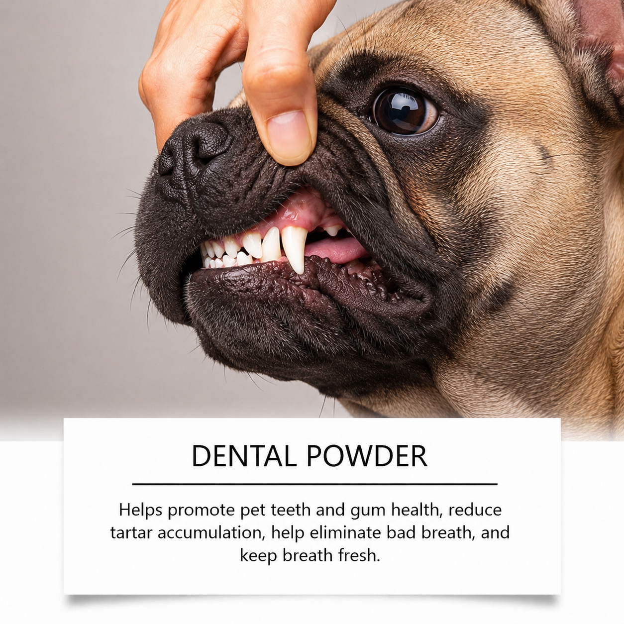 Freshie-Frenchie-Dental-Powder.jpg