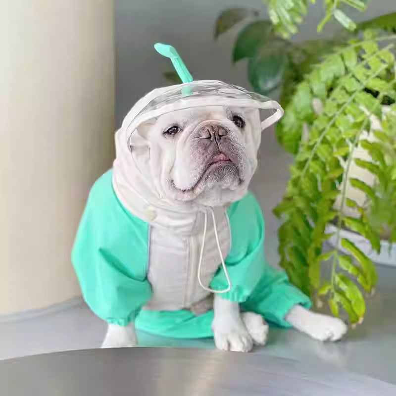 Froglet-Froggies-Frenchie-Raincoat.jpg