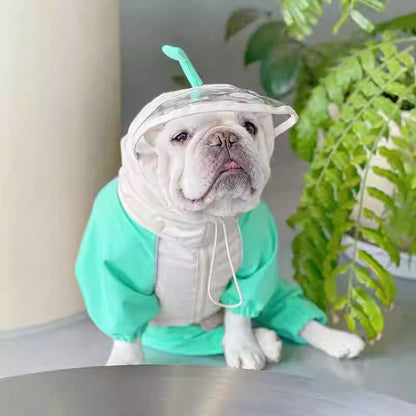 Froglet-Froggies-Frenchie-Raincoat.jpg