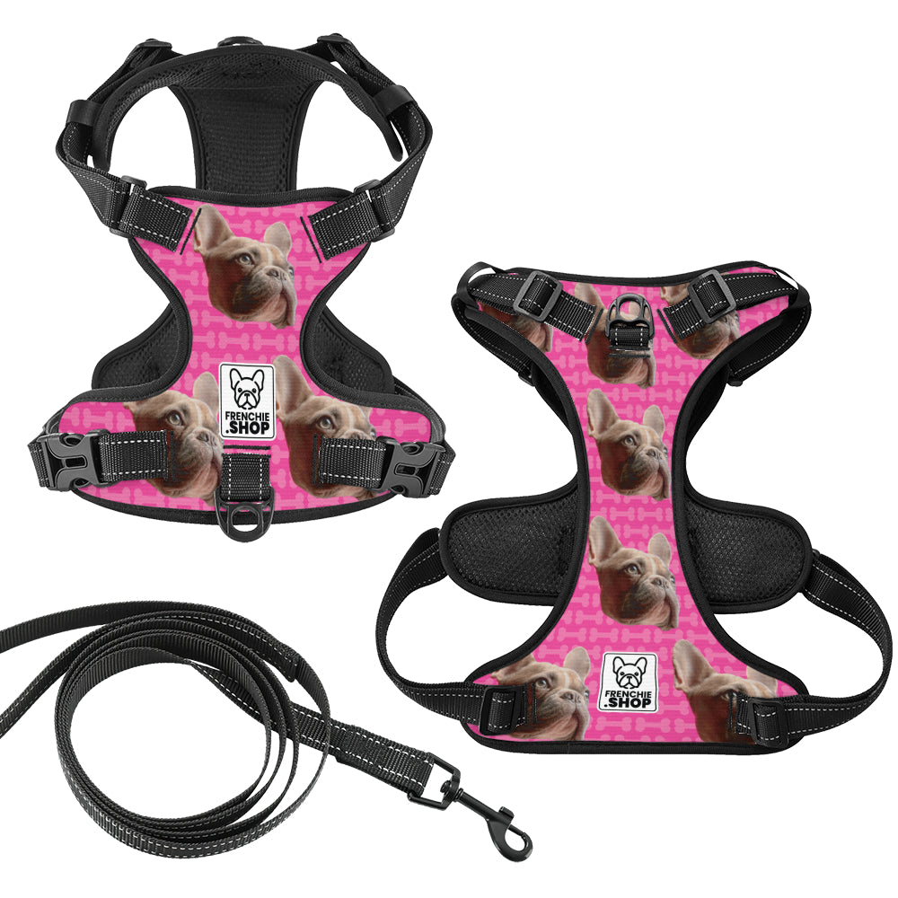 Quincy - Personalized No-Pull French Bulldog Dog Harness