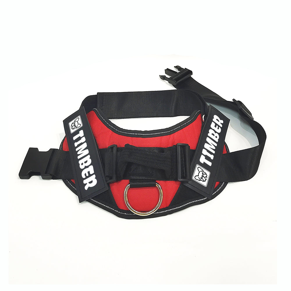 Henry - Personalized French Bulldog Harness