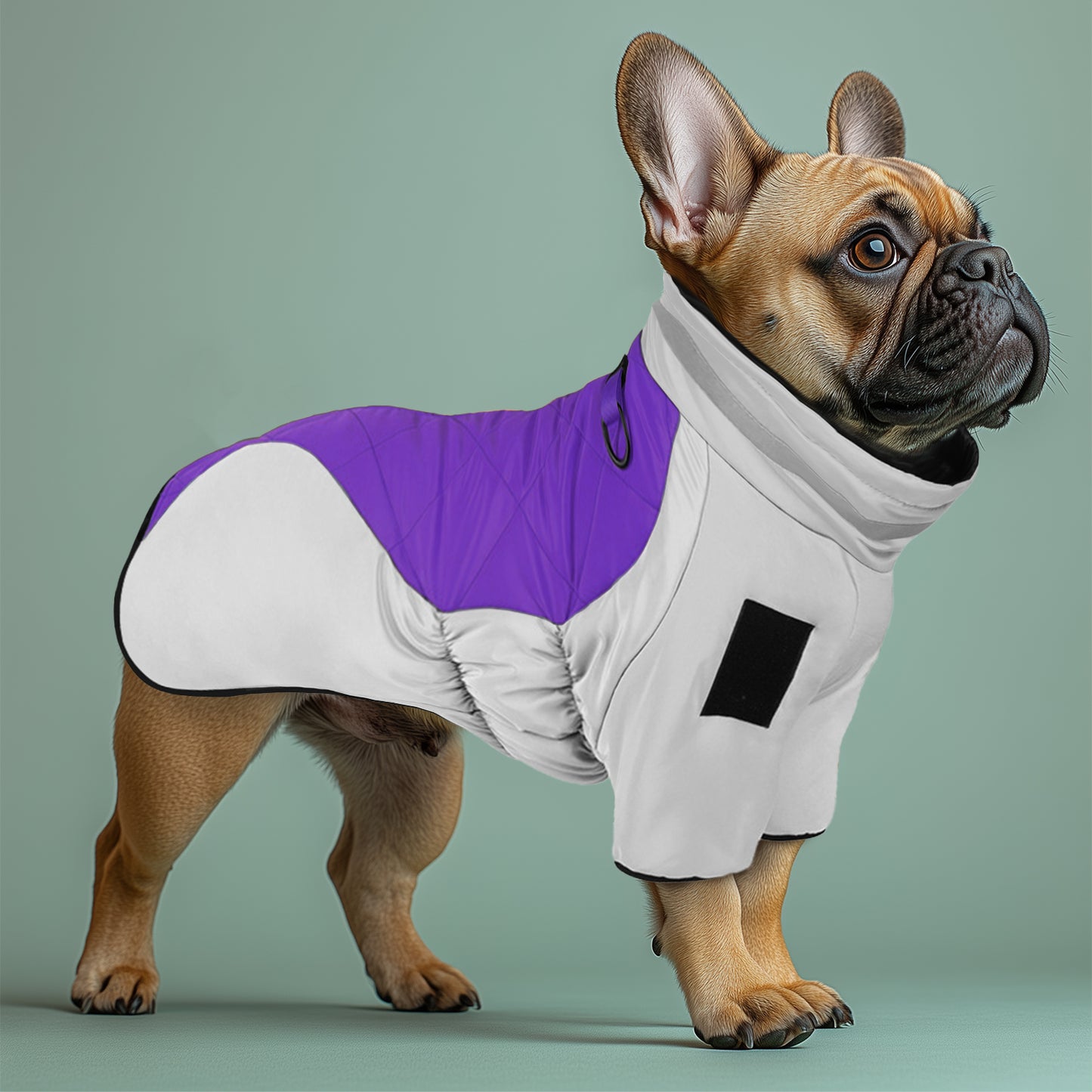 FrostGlow French bulldog Winter Jacket