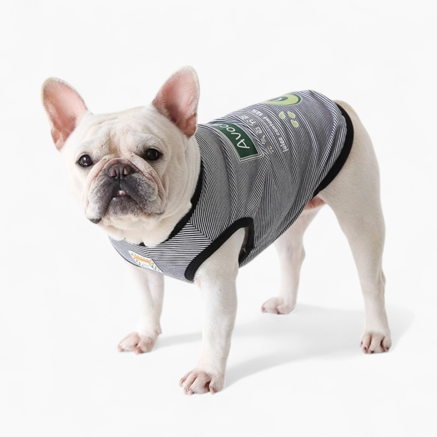FrozTee-Frenchie-Polar-Bear-T-Shirt.jpg