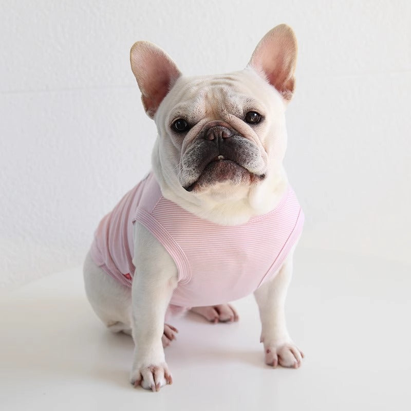 FrozTee-Frenchie-Polar-Bear-T-Shirt.jpg