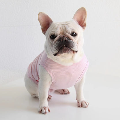 FrozTee-Frenchie-Polar-Bear-T-Shirt.jpg