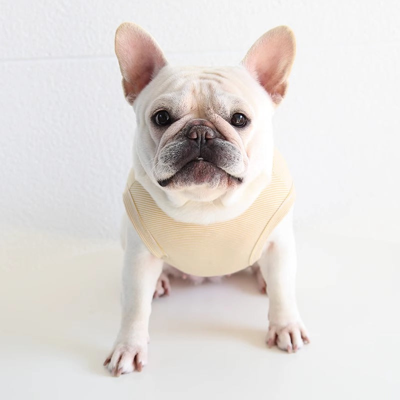 FrozTee-Frenchie-Polar-Bear-T-Shirt.jpg