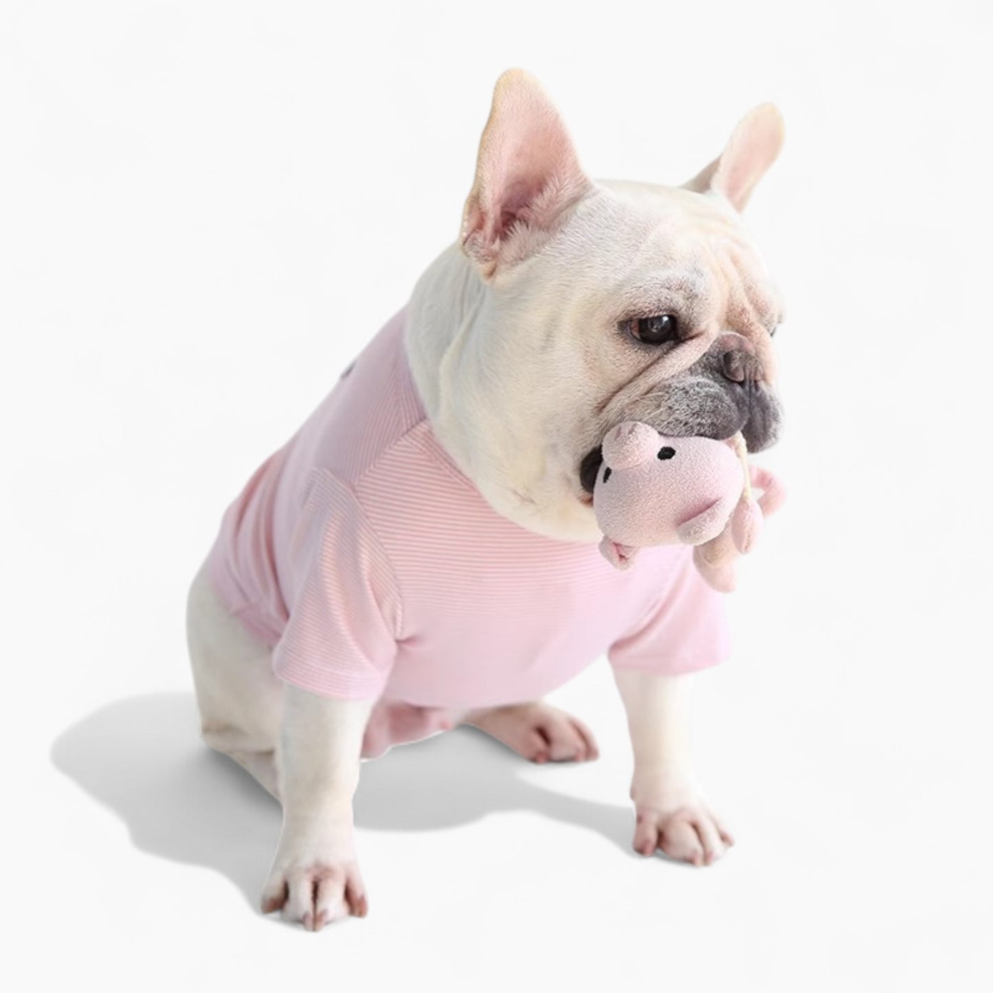 FrozTee-Frenchie-Polar-Bear-T-Shirt.jpg