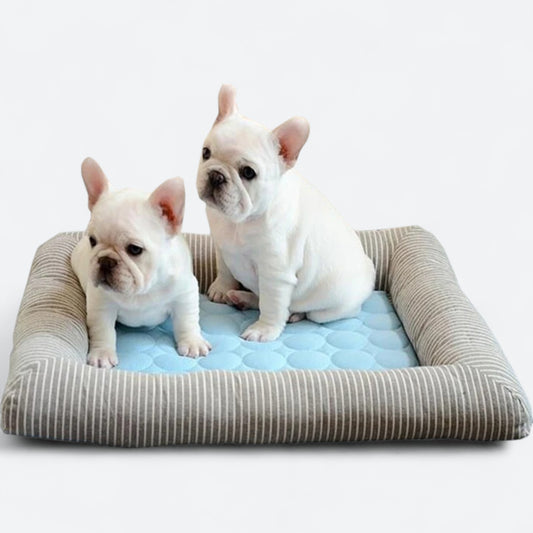 FurChill-Frenchie-Breathable-Dog-Bed.jpg