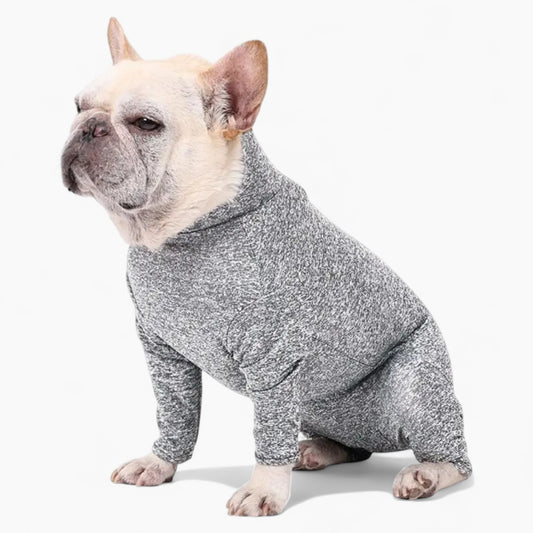 FurFlex-Frenchie-Recovery-Bodysuit.jpg