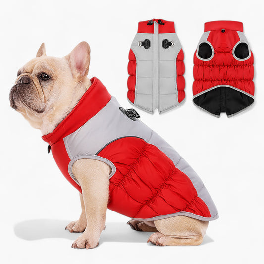 FurGlow-Frenchie-Reflective-Jacket.jpg