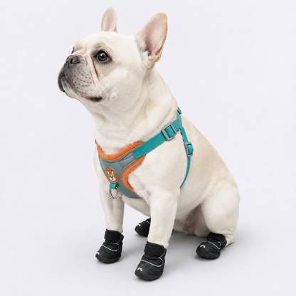 FurTrek-French-Bulldog-Running-Shoes.jpg