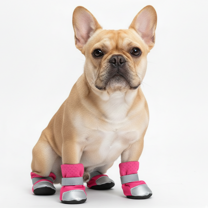 Reflective Boots for french bulldog