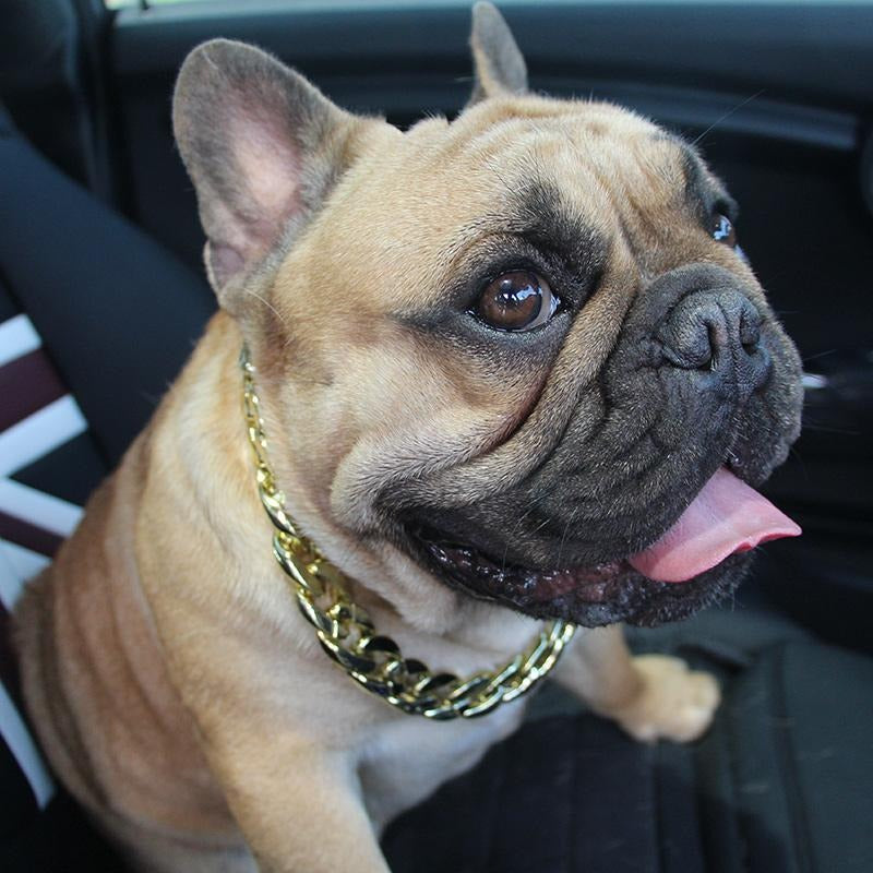 GlamBull-Frenchie-Gold-Necklace.jpg